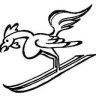 logo ski partner